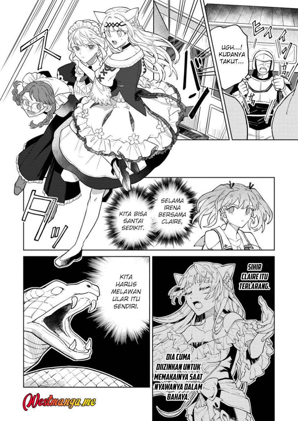 The White Mage Who Was Banished From the Hero’s Party Is Picked up by an S Rank Adventurer ~ This White Mage Is Too Out of the Ordinary! Chapter 43 - halaman 3