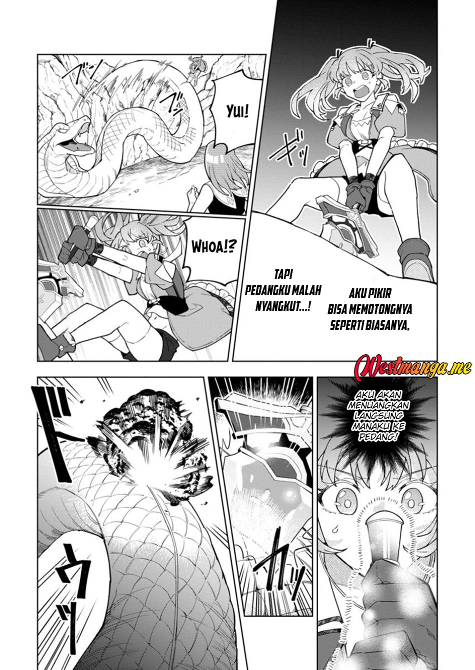 The White Mage Who Was Banished From the Hero’s Party Is Picked up by an S Rank Adventurer ~ This White Mage Is Too Out of the Ordinary! Chapter 43 - halaman 9