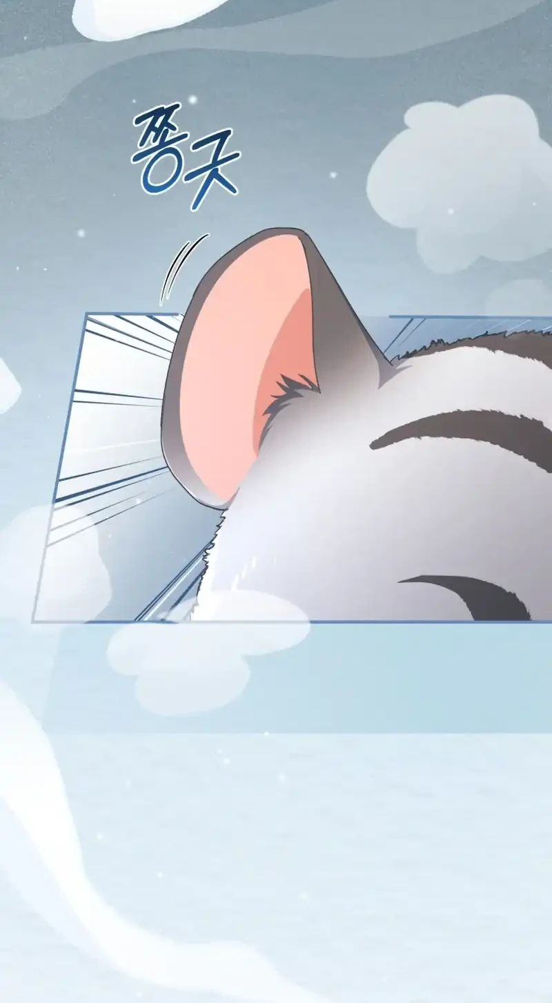 The White Tiger Clan's Baby Cotton Ball Chapter 10 - halaman 20
