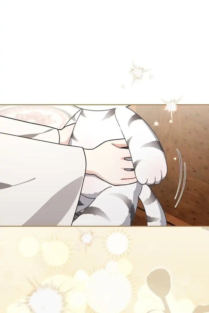 The White Tiger Clan's Baby Cotton Ball Chapter 12 - halaman 47