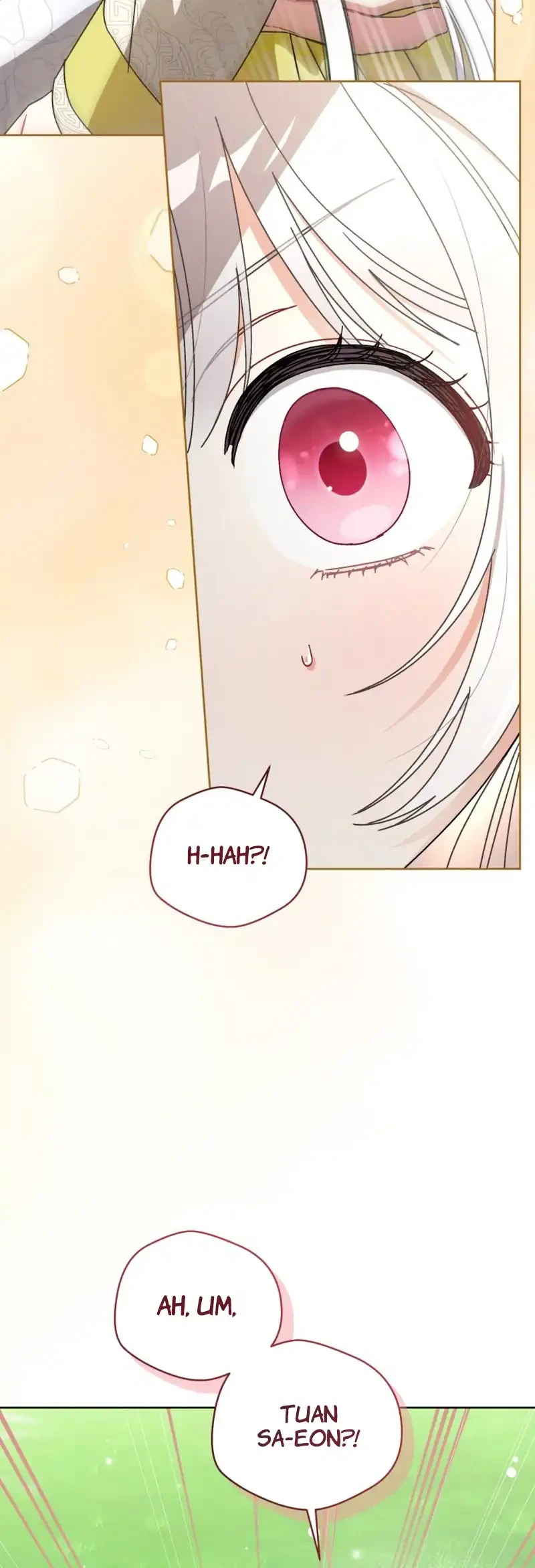 The White Tiger Clan's Baby Cotton Ball Chapter 21 - halaman 13