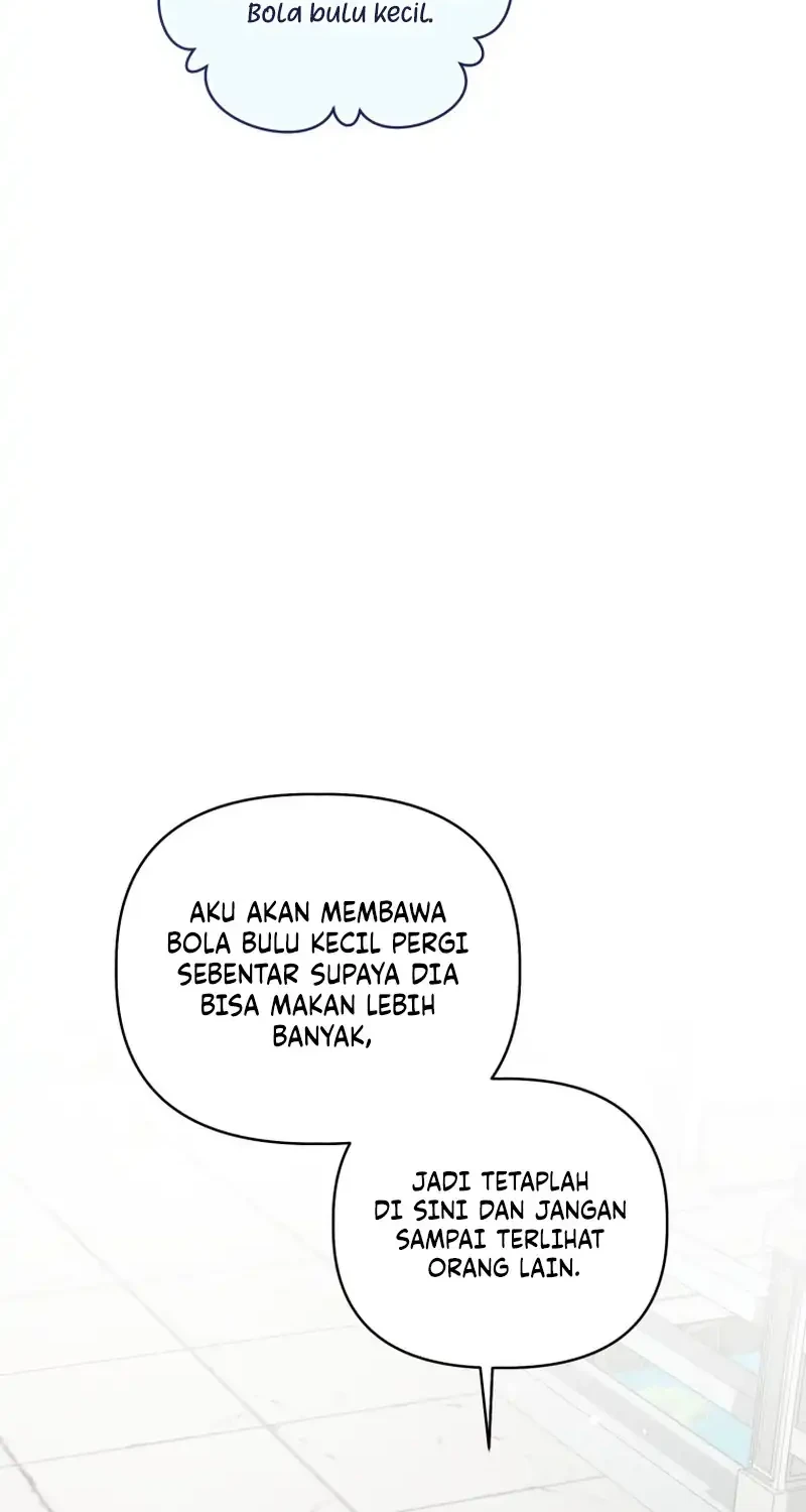 The White Tiger Clan's Baby Cotton Ball Chapter 21 - halaman 17