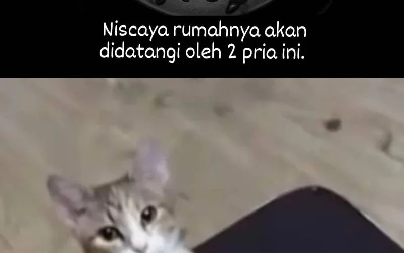 This Villain Has Some Conscience, but Not Much! Chapter 258 - halaman 18