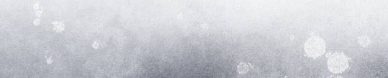 To Hell With Being a Saint, I’m a Doctor Chapter 136 - halaman 47