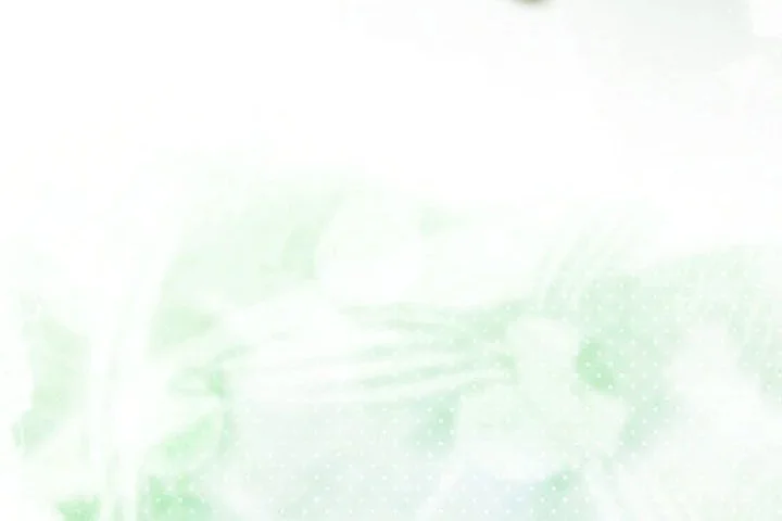 To Hell With Being a Saint, I’m a Doctor Chapter 149 - halaman 50