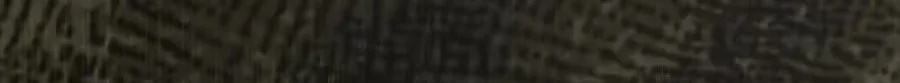 To Hell With Being a Saint, I’m a Doctor Chapter 164 - halaman 77