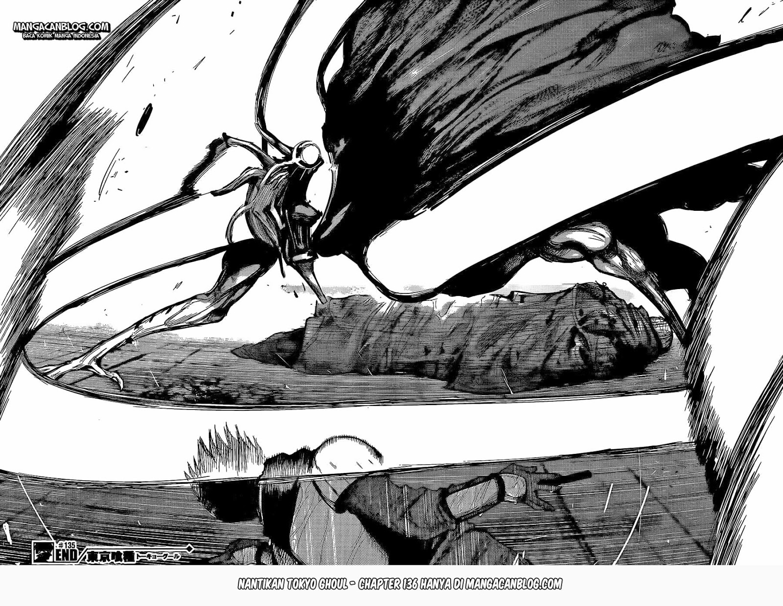 Tokyo Ghoul Chapter 135 - halaman 16