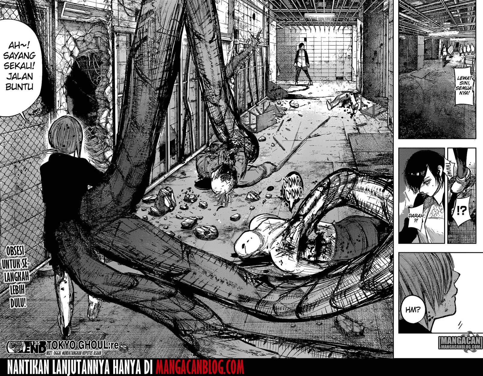 Tokyo Ghoul:re Chapter 135 - halaman 19