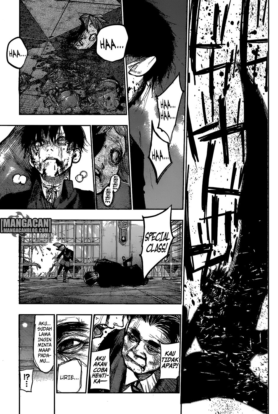 Tokyo Ghoul:re Chapter 137 - halaman 12
