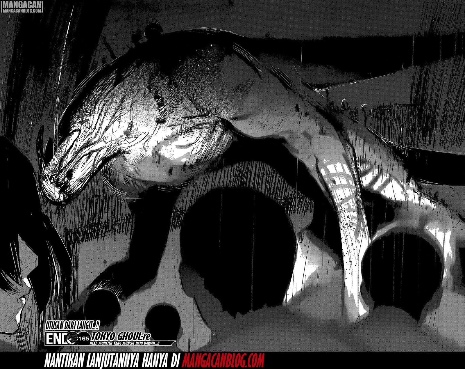 Tokyo Ghoul:re Chapter 165 - halaman 19
