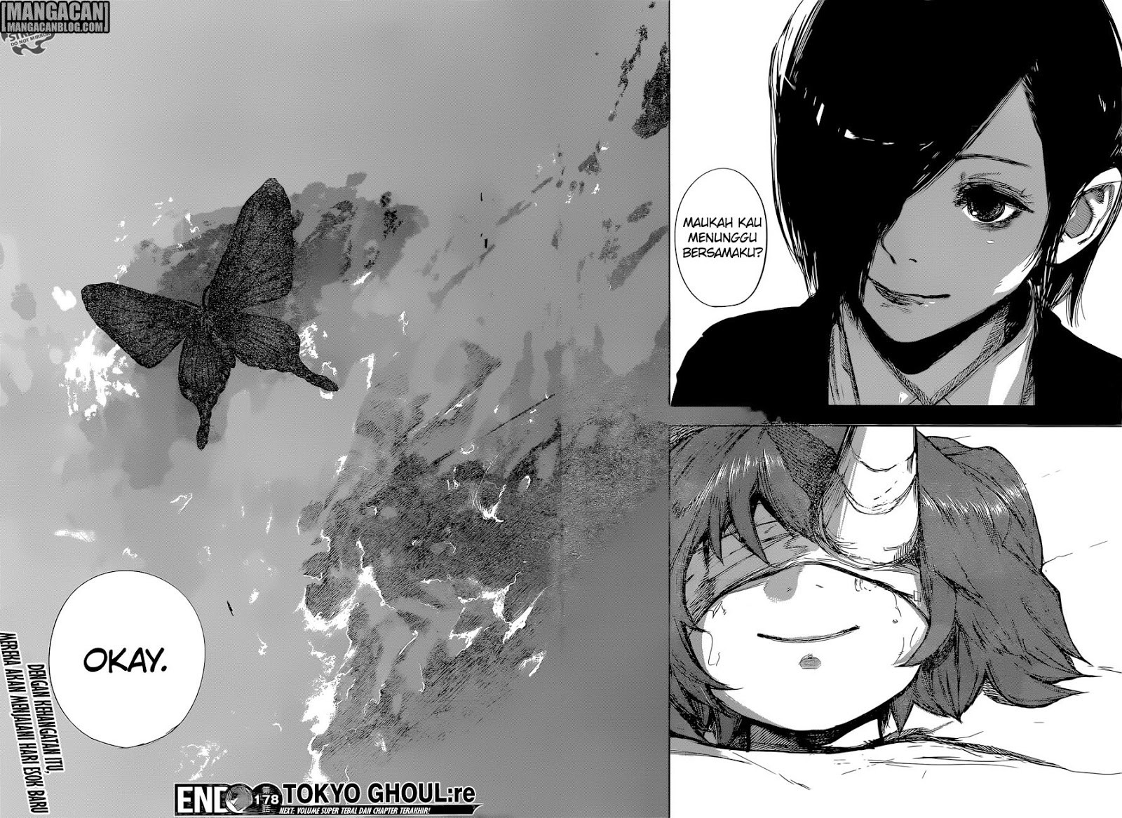 Tokyo Ghoul:re Chapter 178 - halaman 17