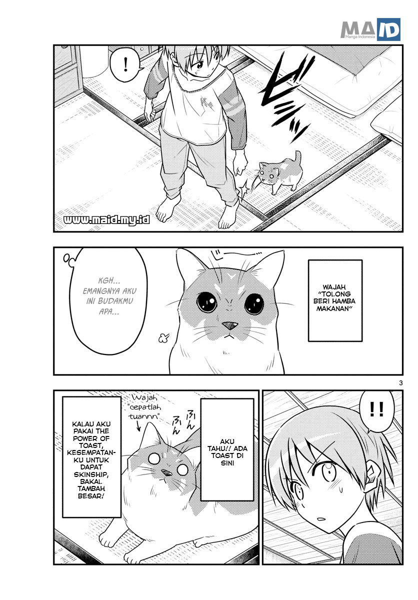 Tonikaku Kawaii Chapter 53 - halaman 7