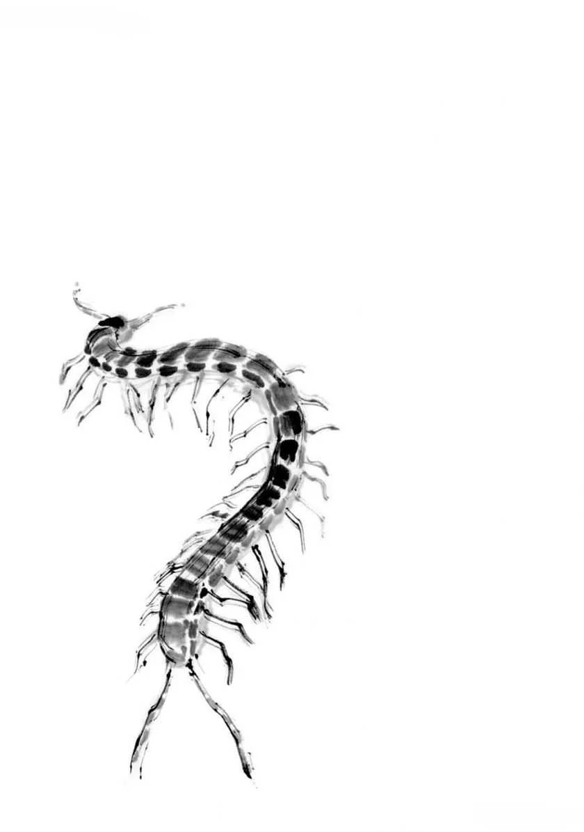 Tora wa Ryuu wo Mada Tabenai. Chapter 22 - halaman 2