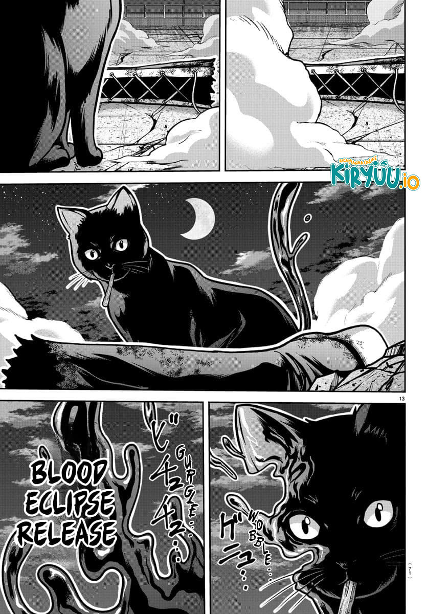 Tougen Anki Chapter 184 - halaman 13