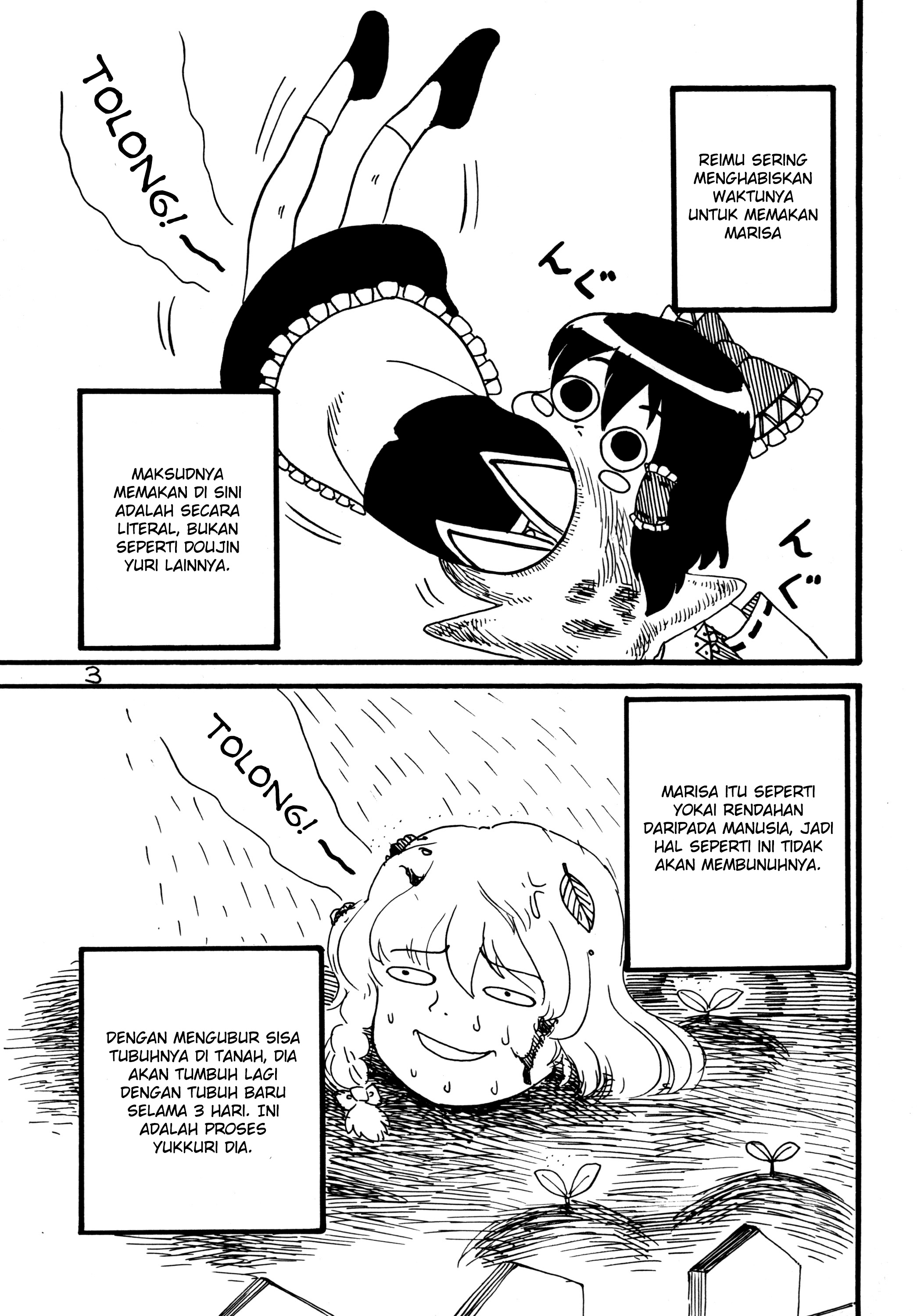 Touhou - A Day in the Life of Hakurei Reimu (Doujinshi) Chapter 0 - halaman 4