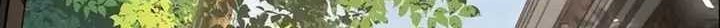 Transcending Alchemy God Chapter 16 - halaman 14
