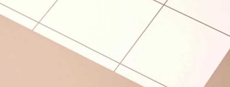 Traveling through time and space to become an unlucky NPC: I have a wife to protect me Chapter 106 - halaman 6