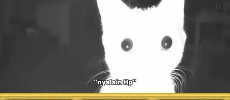 Traveling through time and space to become an unlucky NPC: I have a wife to protect me Chapter 108 - halaman 26
