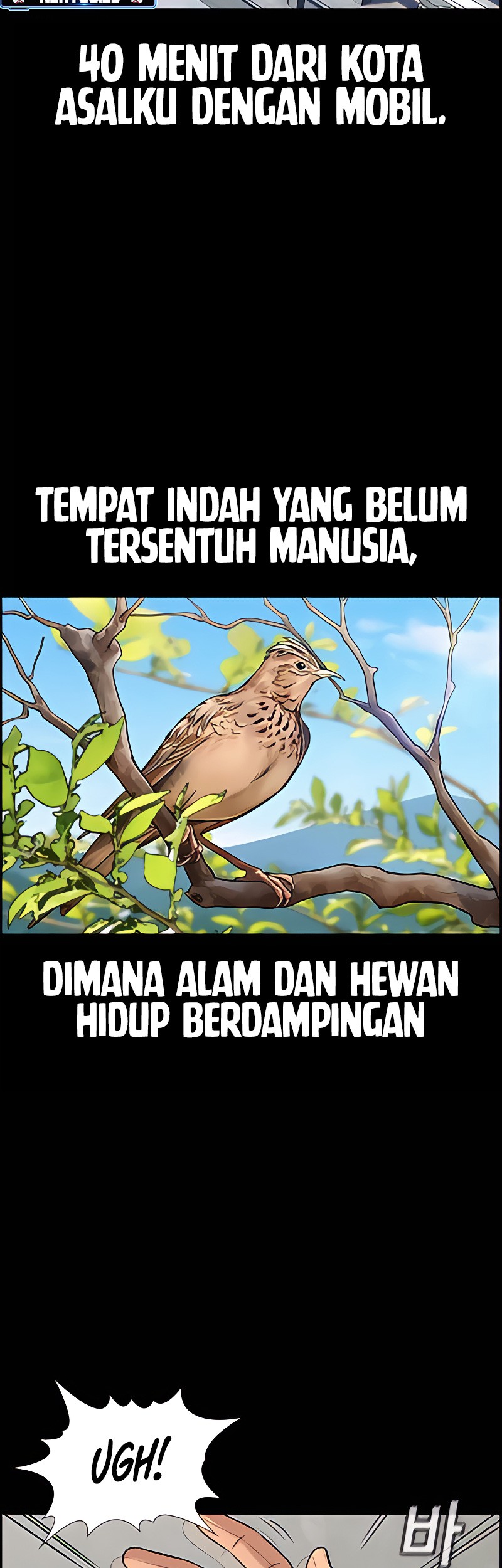True Education Chapter 133 - halaman 12