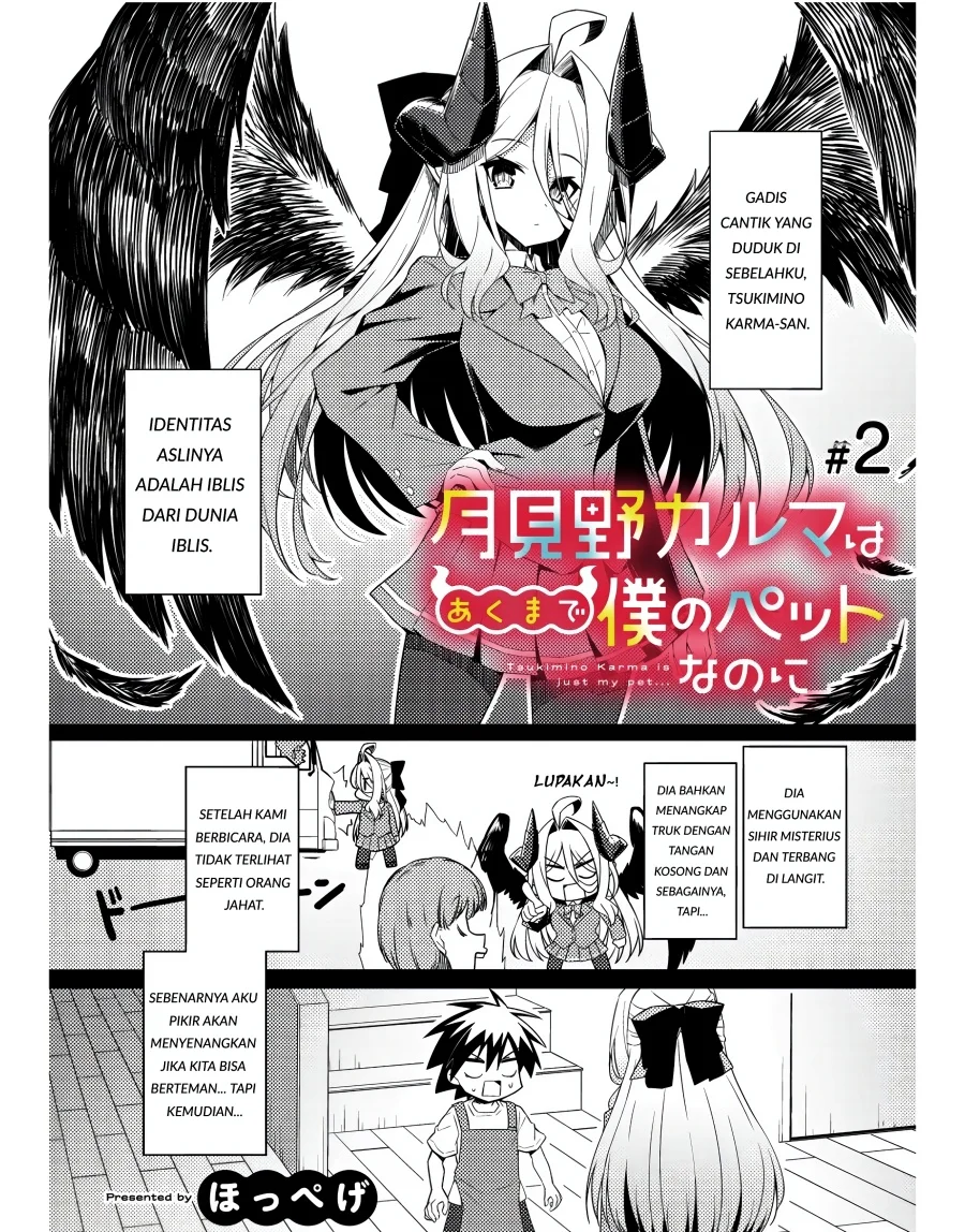 Tsukimino Karma wa Akumade Boku no Pet nanoni Chapter 2 - halaman 2