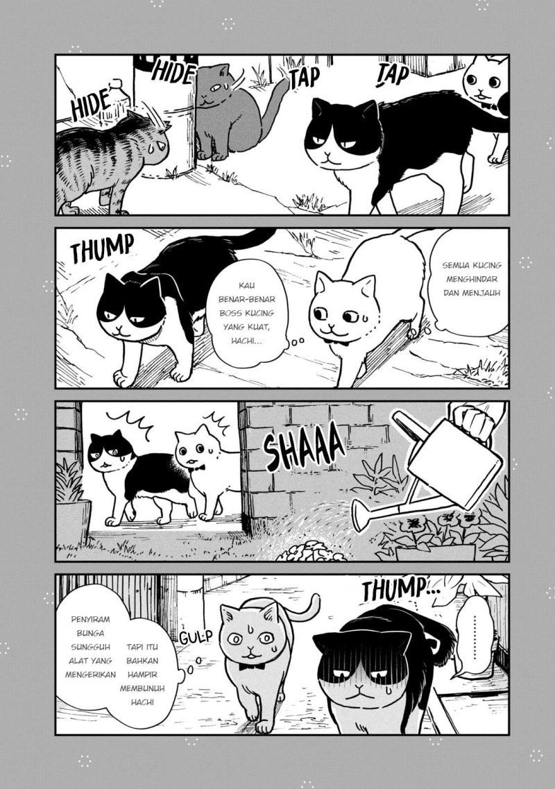 Tsureneko: Maruru to Hachi Chapter 1.1 - halaman 3