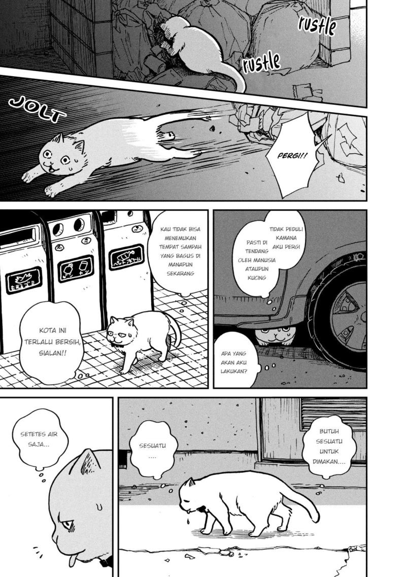 Tsureneko: Maruru to Hachi Chapter 1 - halaman 10