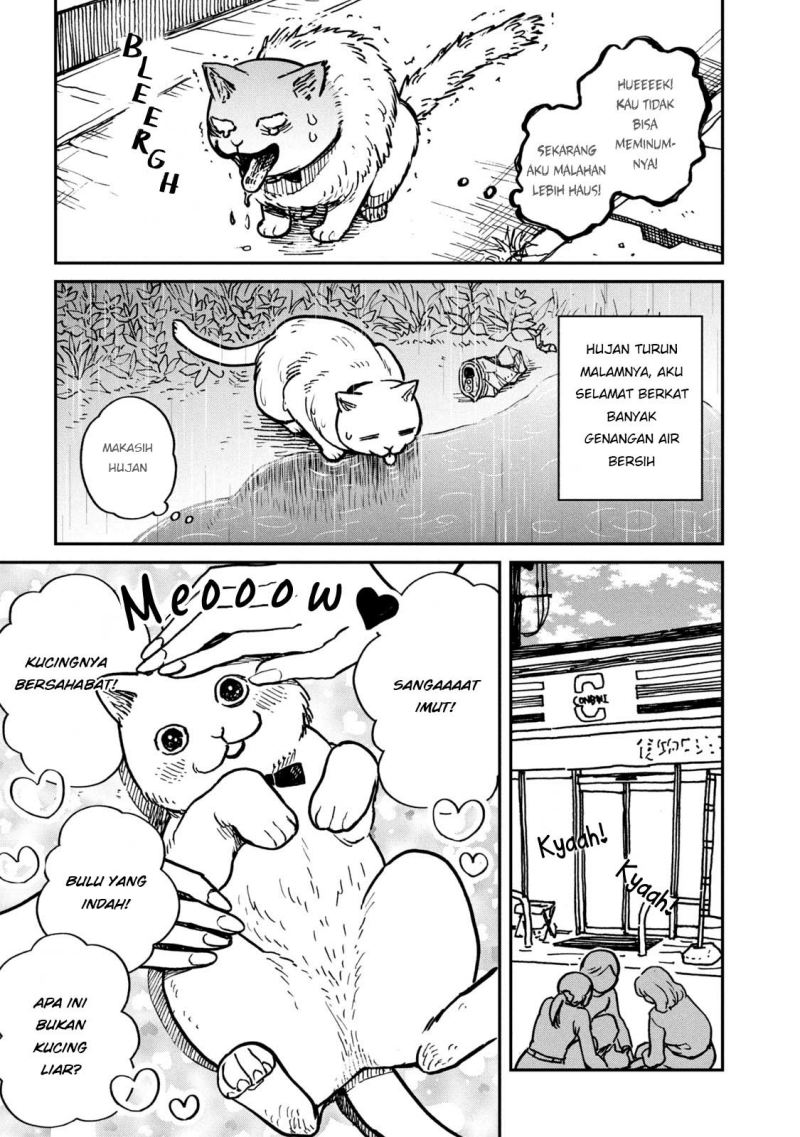 Tsureneko: Maruru to Hachi Chapter 1 - halaman 12
