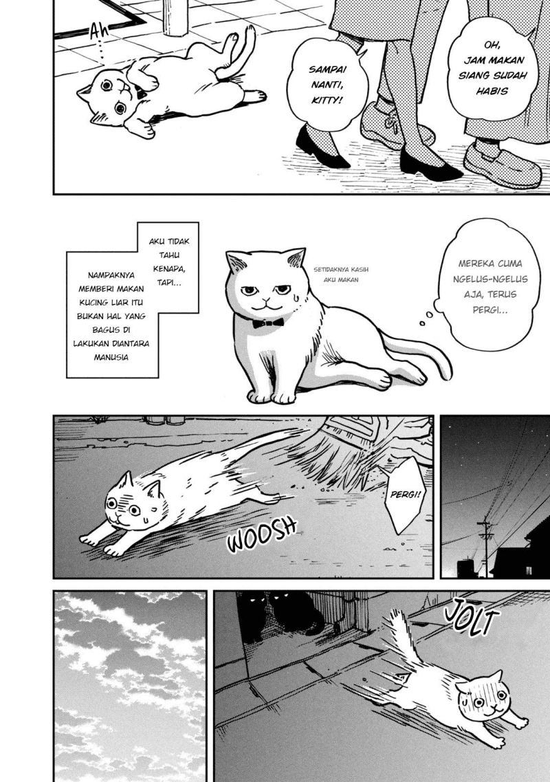 Tsureneko: Maruru to Hachi Chapter 1 - halaman 13