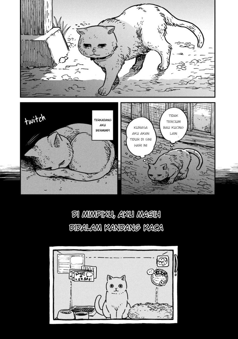Tsureneko: Maruru to Hachi Chapter 1 - halaman 14