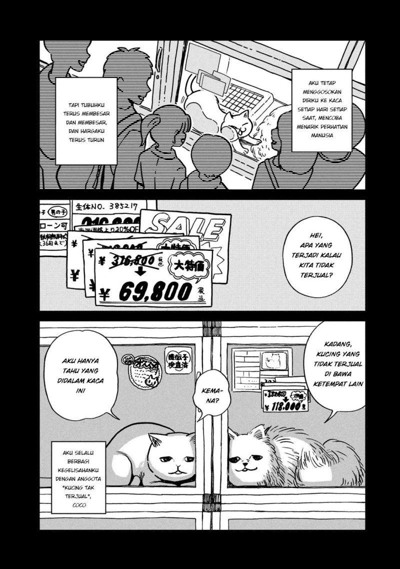 Tsureneko: Maruru to Hachi Chapter 1 - halaman 15