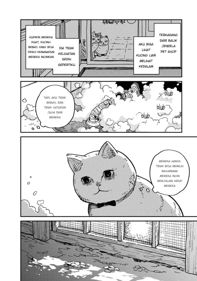 Tsureneko: Maruru to Hachi Chapter 1 - halaman 25