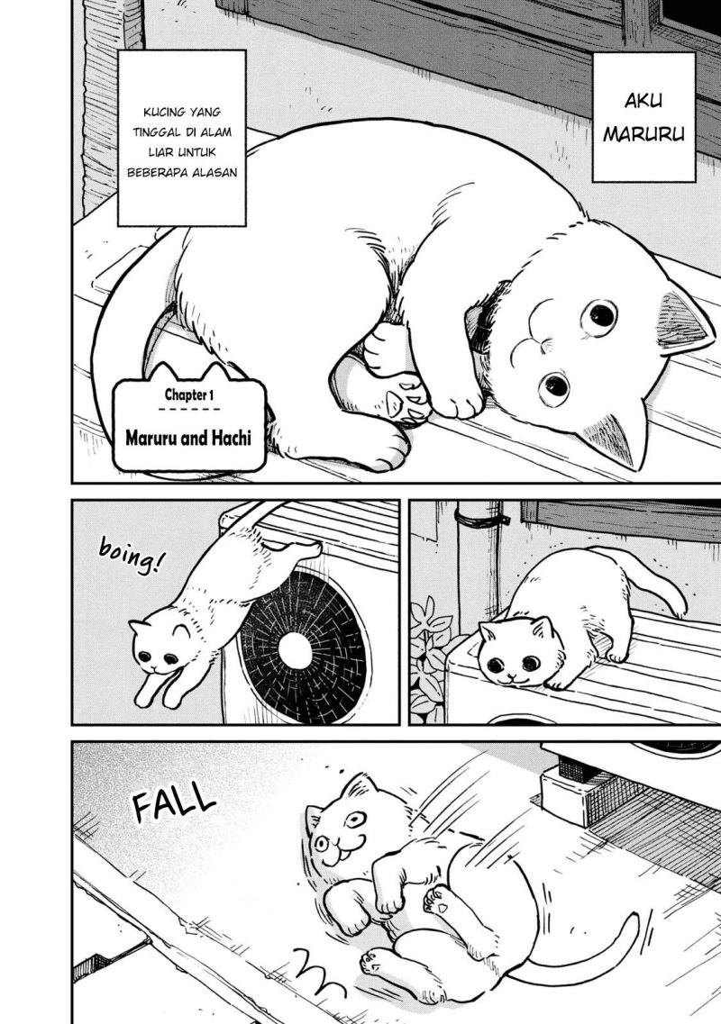 Tsureneko: Maruru to Hachi Chapter 1 - halaman 5
