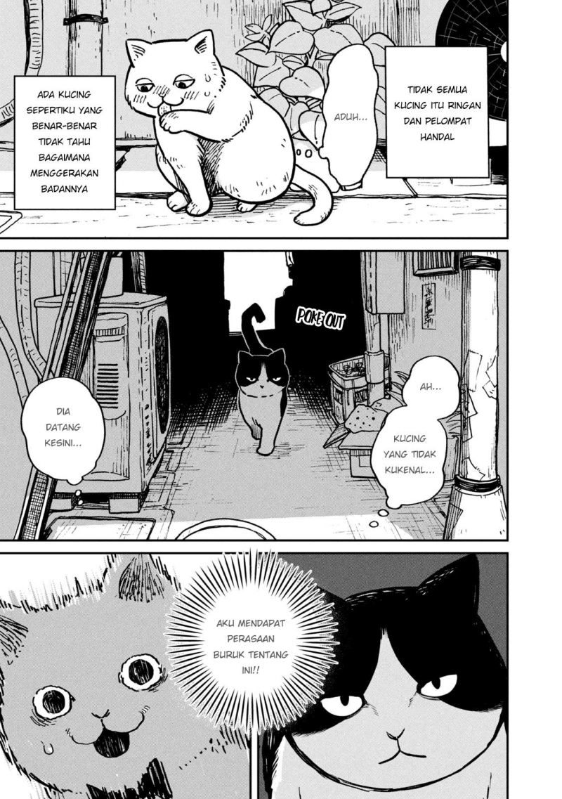 Tsureneko: Maruru to Hachi Chapter 1 - halaman 6