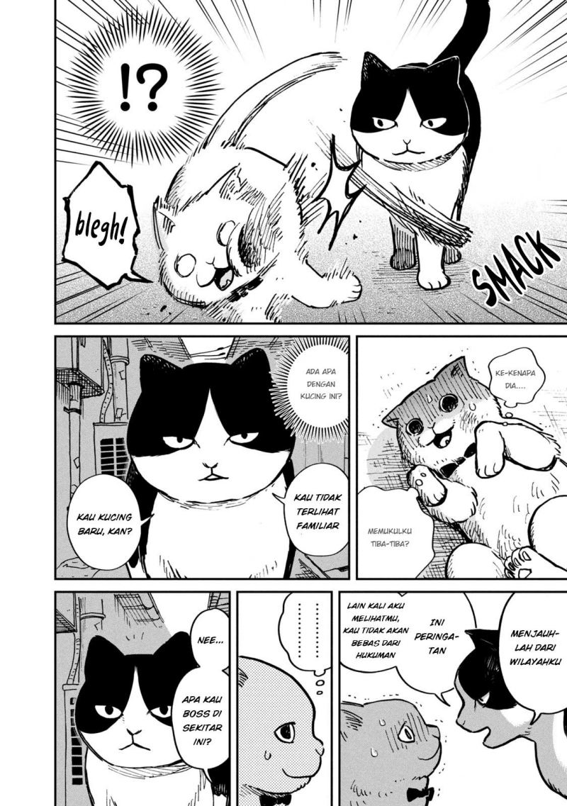 Tsureneko: Maruru to Hachi Chapter 1 - halaman 7