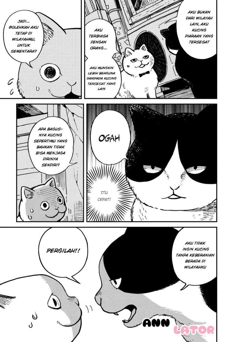 Tsureneko: Maruru to Hachi Chapter 1 - halaman 8