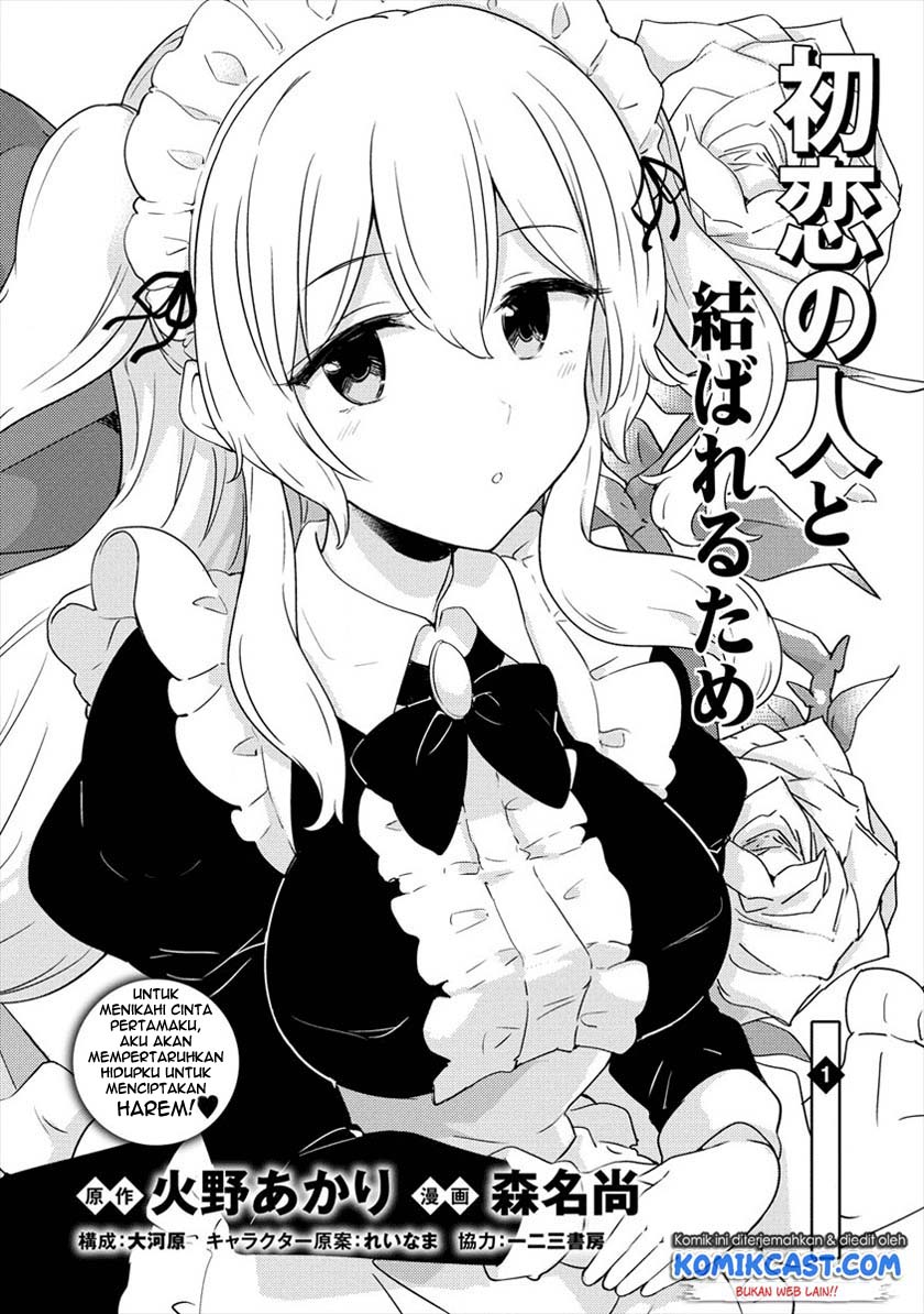 Uchi no Maid to Kekkon suru Tamenara ore wa Harem wo Tsukuru Chapter 1 - halaman 5