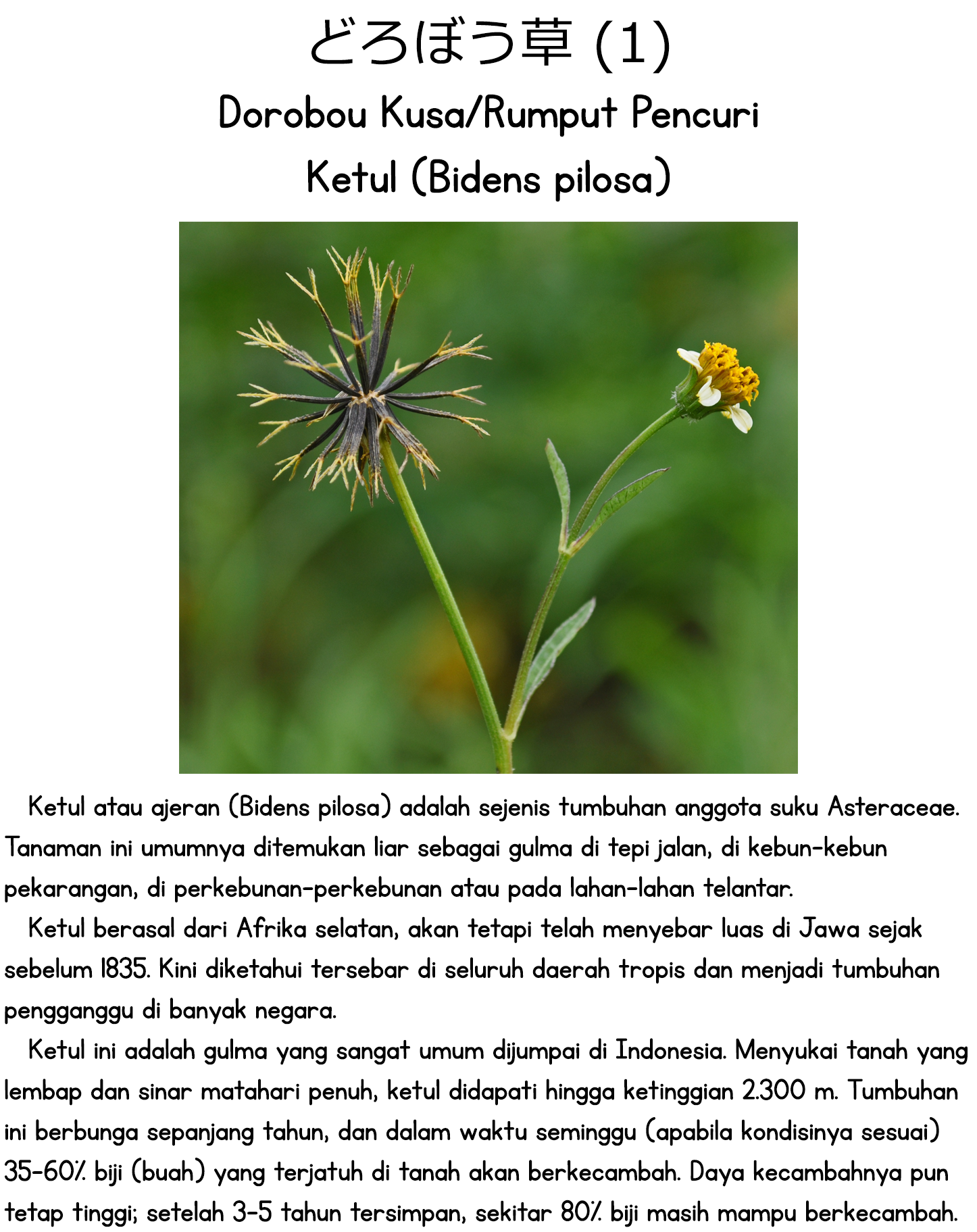Using the Words You Like as Soon as Possible Chapter 0 - halaman 3