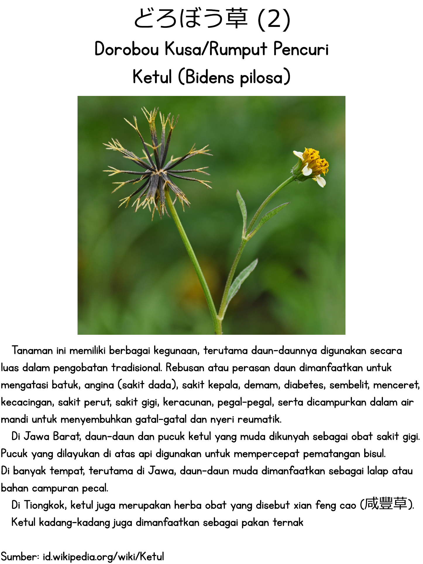 Using the Words You Like as Soon as Possible Chapter 0 - halaman 4
