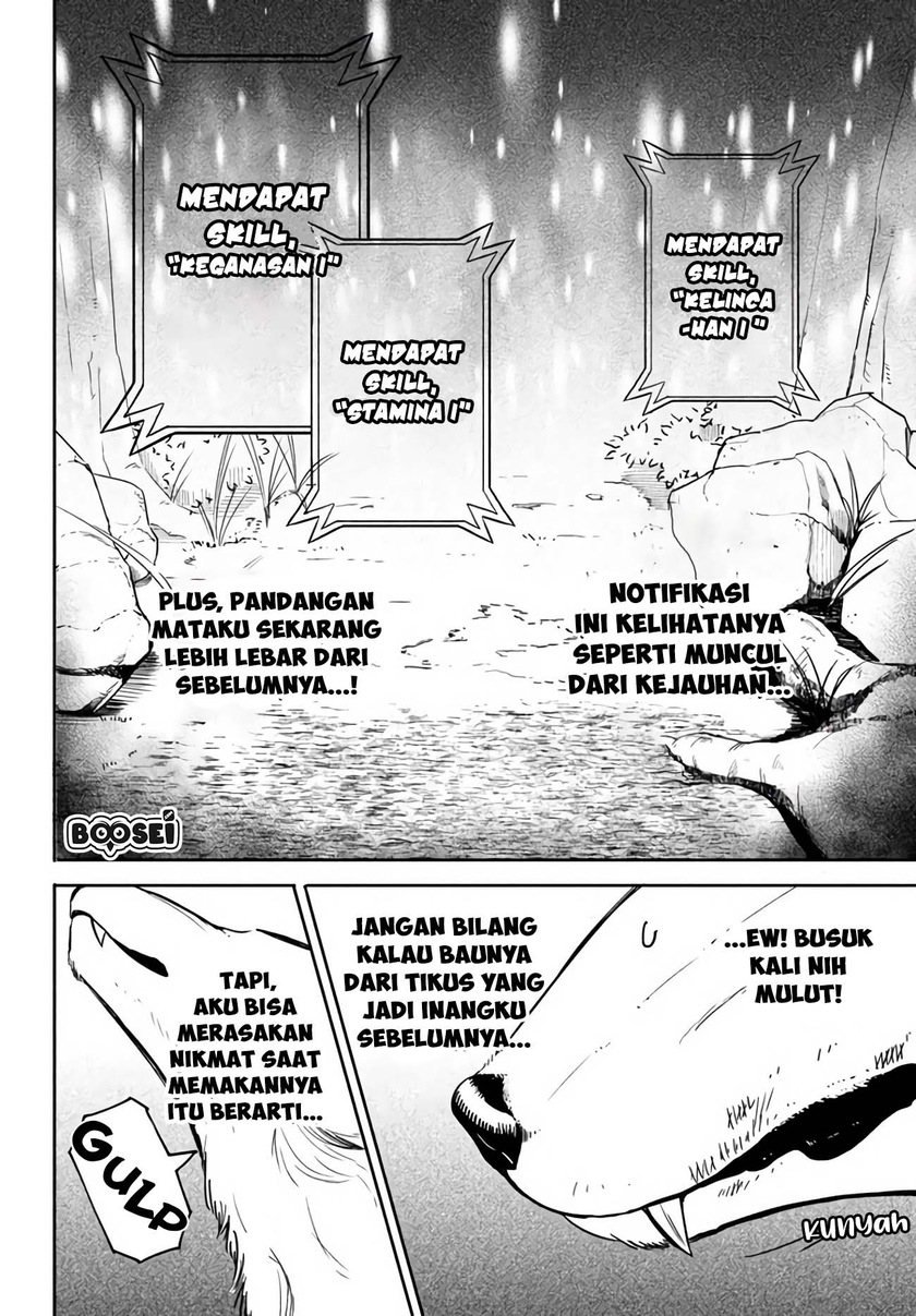 Virus Tensei kara Isekai Kansen Monogatari Chapter 2.1 - halaman 8