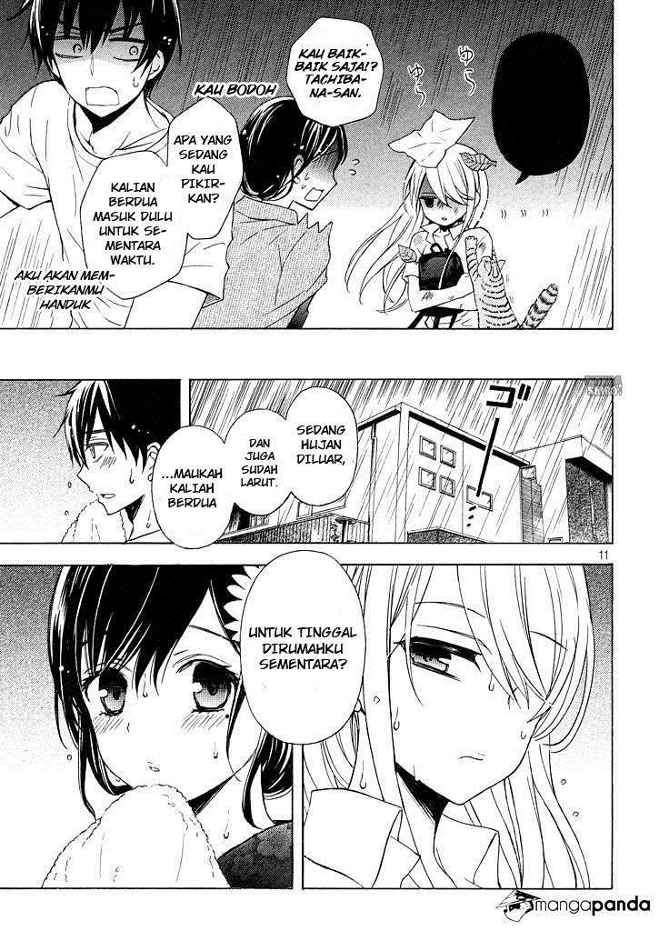 Watari-kun no xx ga Houkai Sunzen Chapter 31 - halaman 13