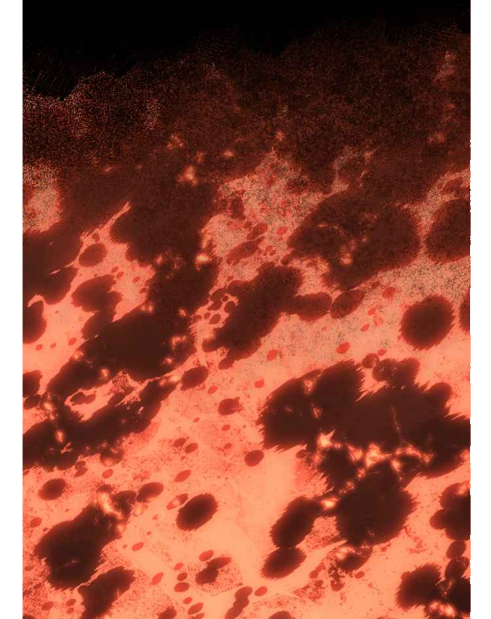 Why I Quit Being the Demon King Chapter 33 - halaman 33