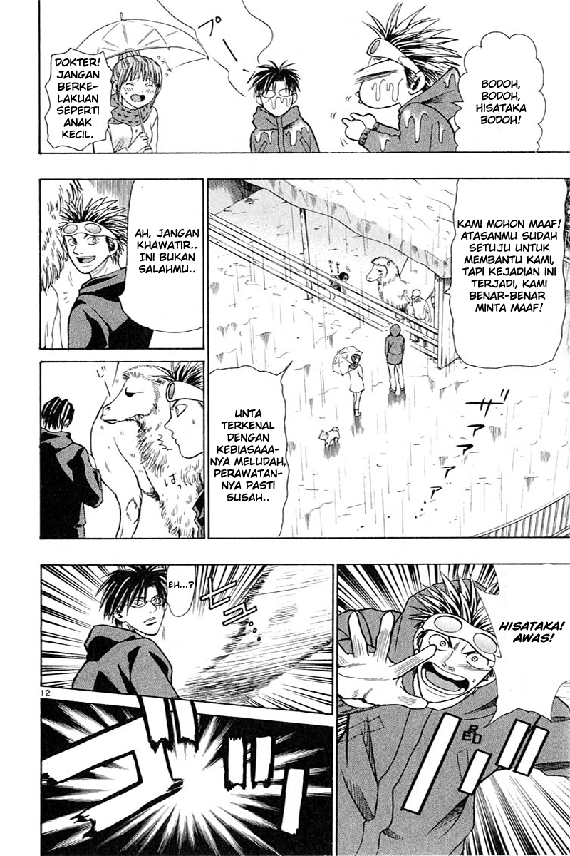 Wild Life Chapter 15 - halaman 13
