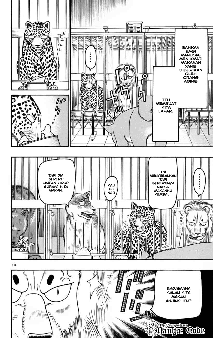 Wild Life Chapter 32 - halaman 11