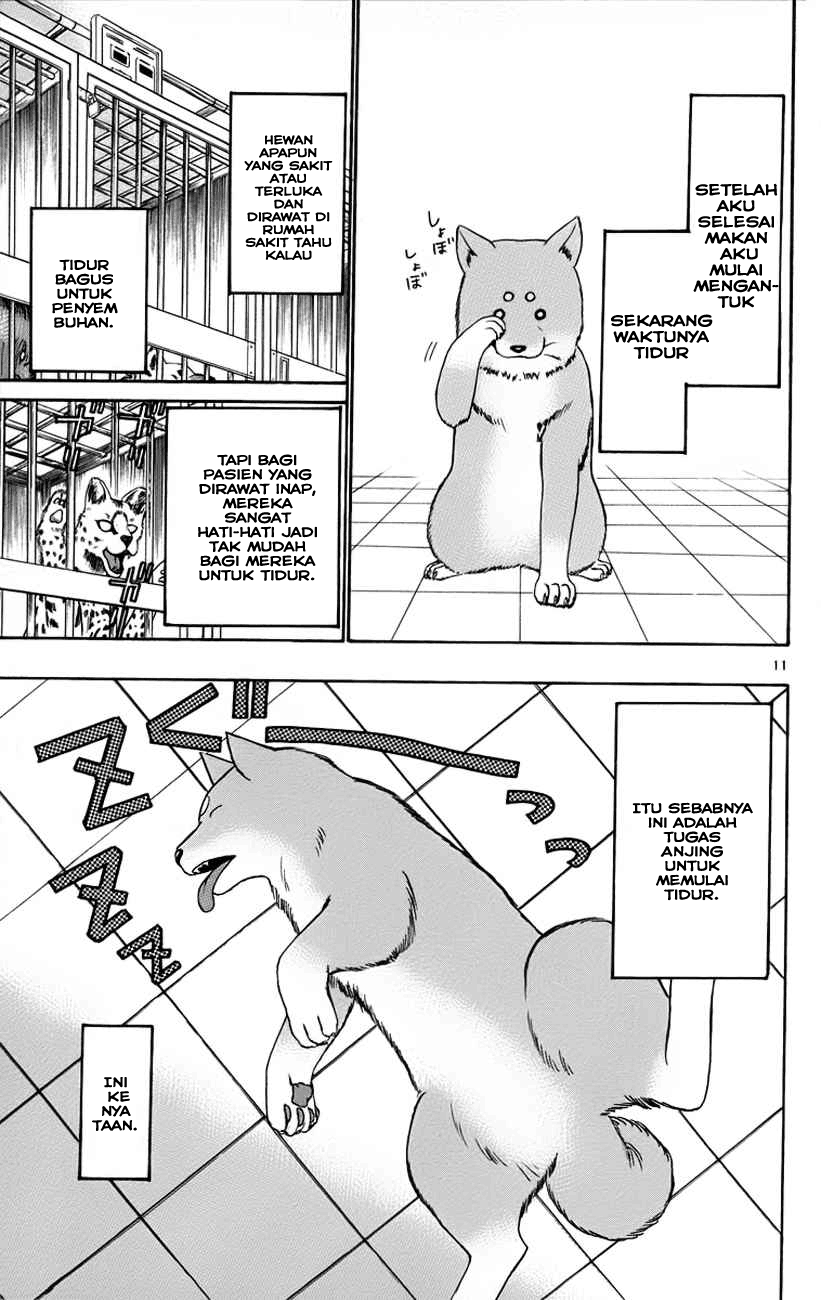 Wild Life Chapter 32 - halaman 12