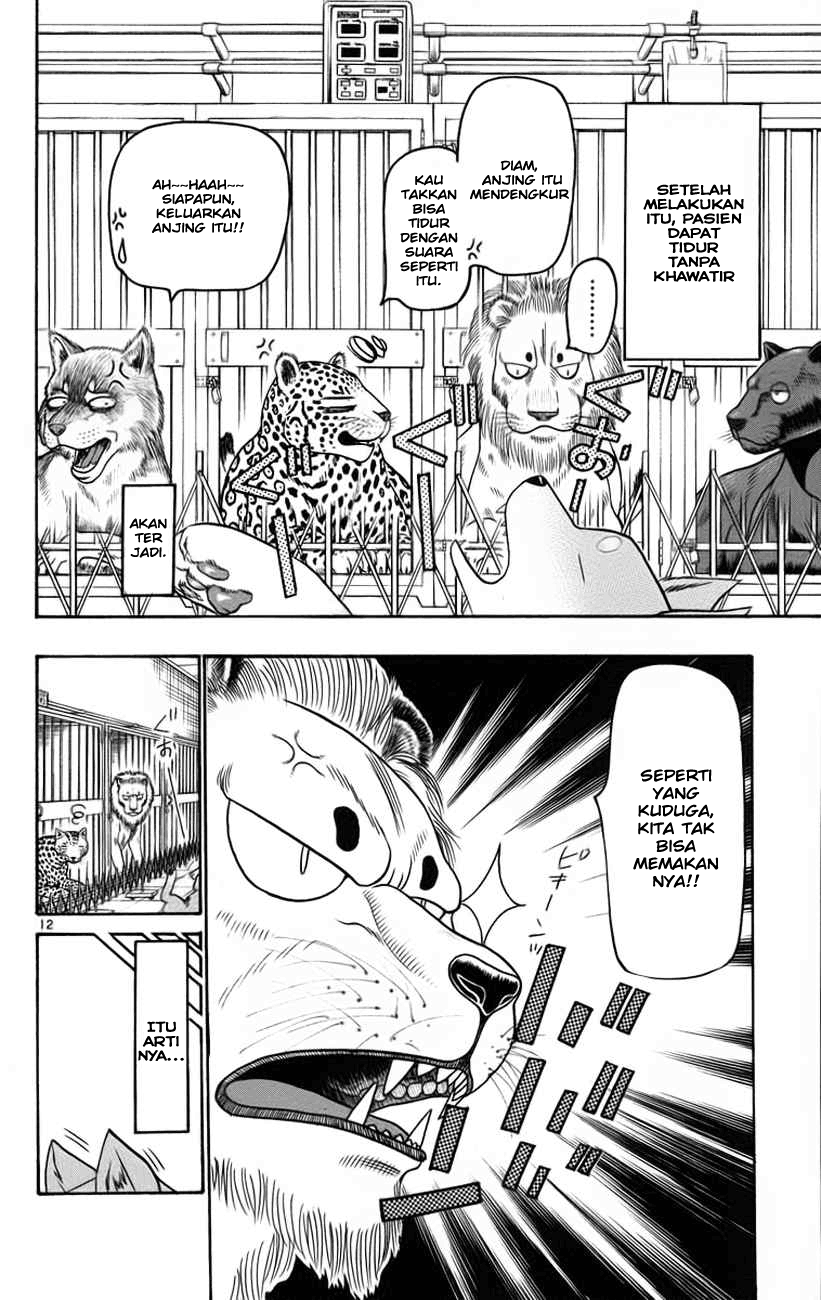Wild Life Chapter 32 - halaman 13