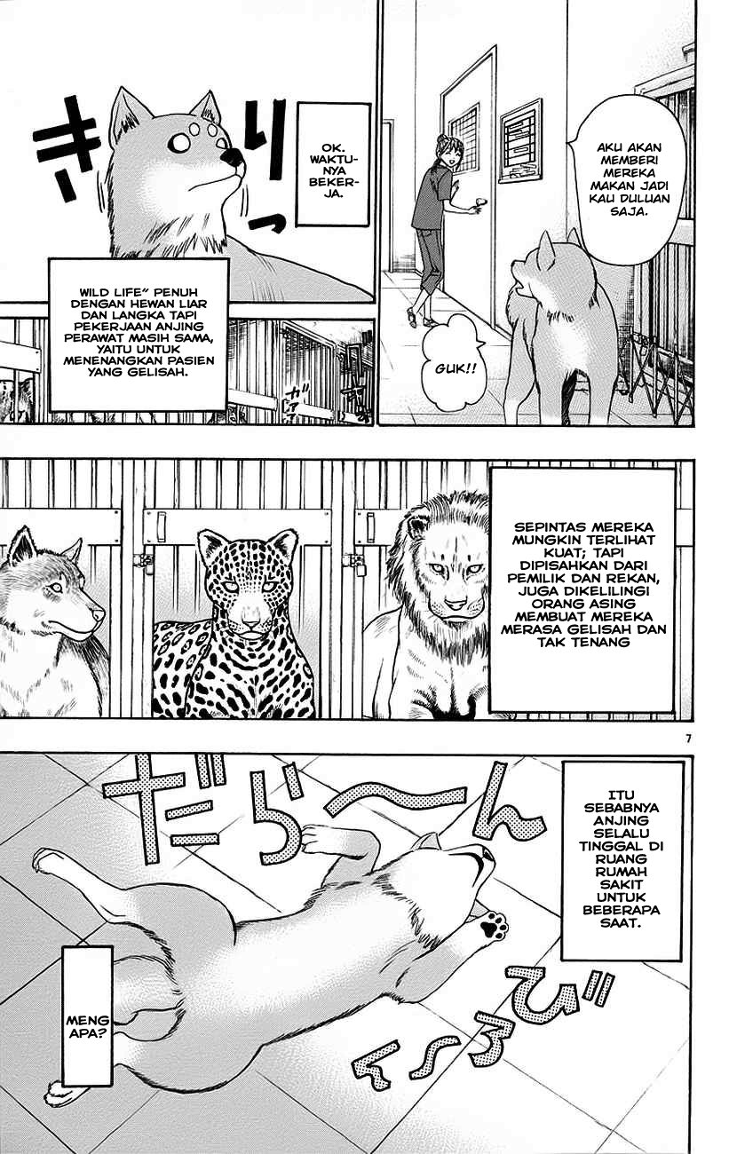 Wild Life Chapter 32 - halaman 8