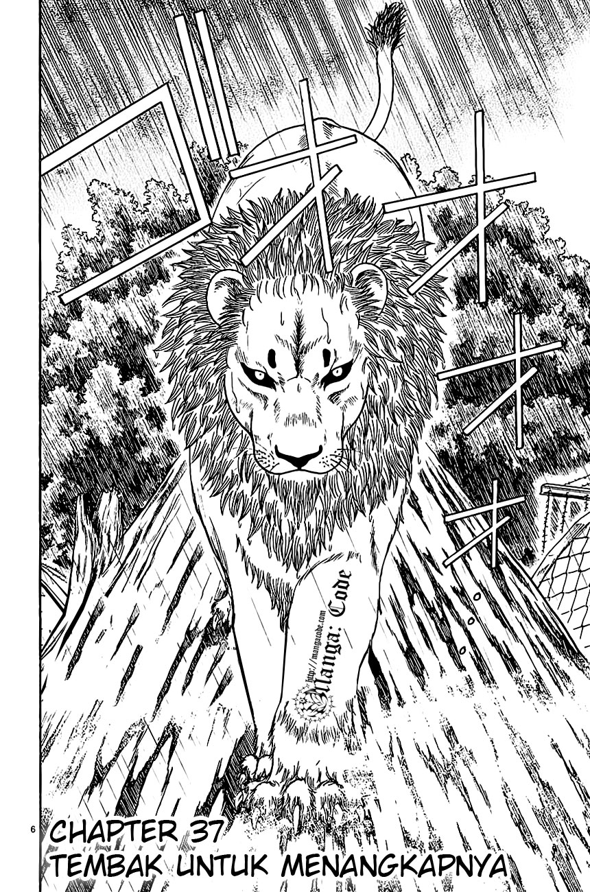 Wild Life Chapter 37 - halaman 8