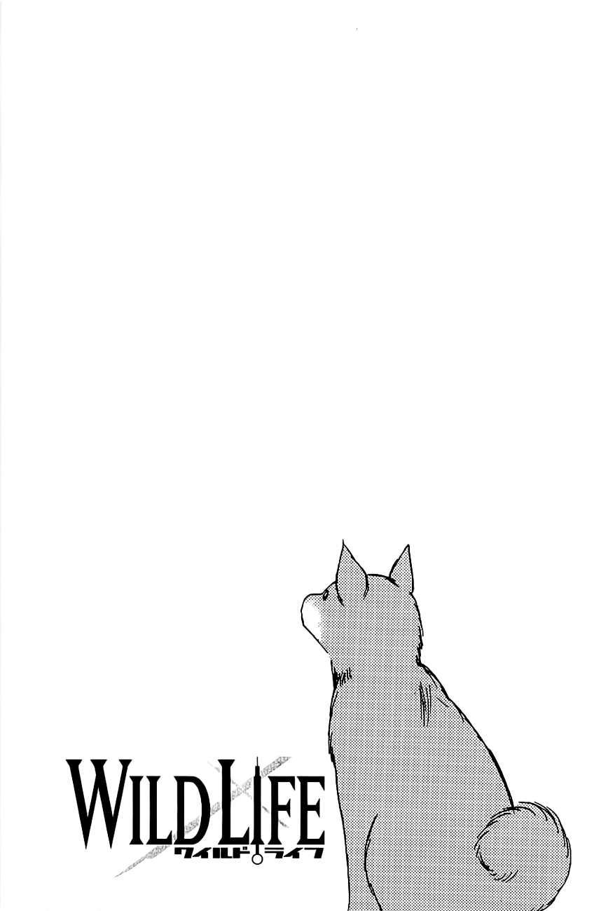 Wild Life Chapter 38 - halaman 7