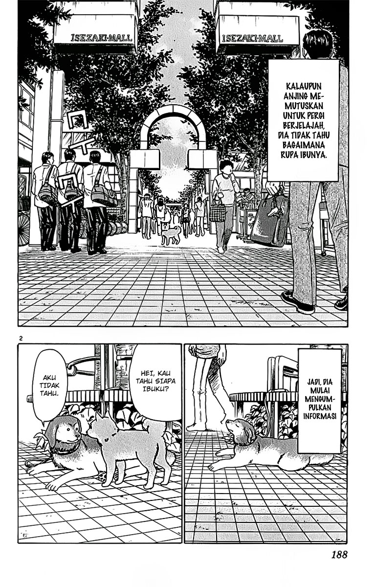 Wild Life Chapter 41 - halaman 23