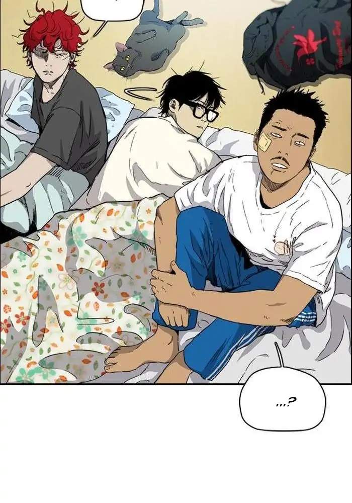 Wind Breaker Chapter 248 - halaman 27